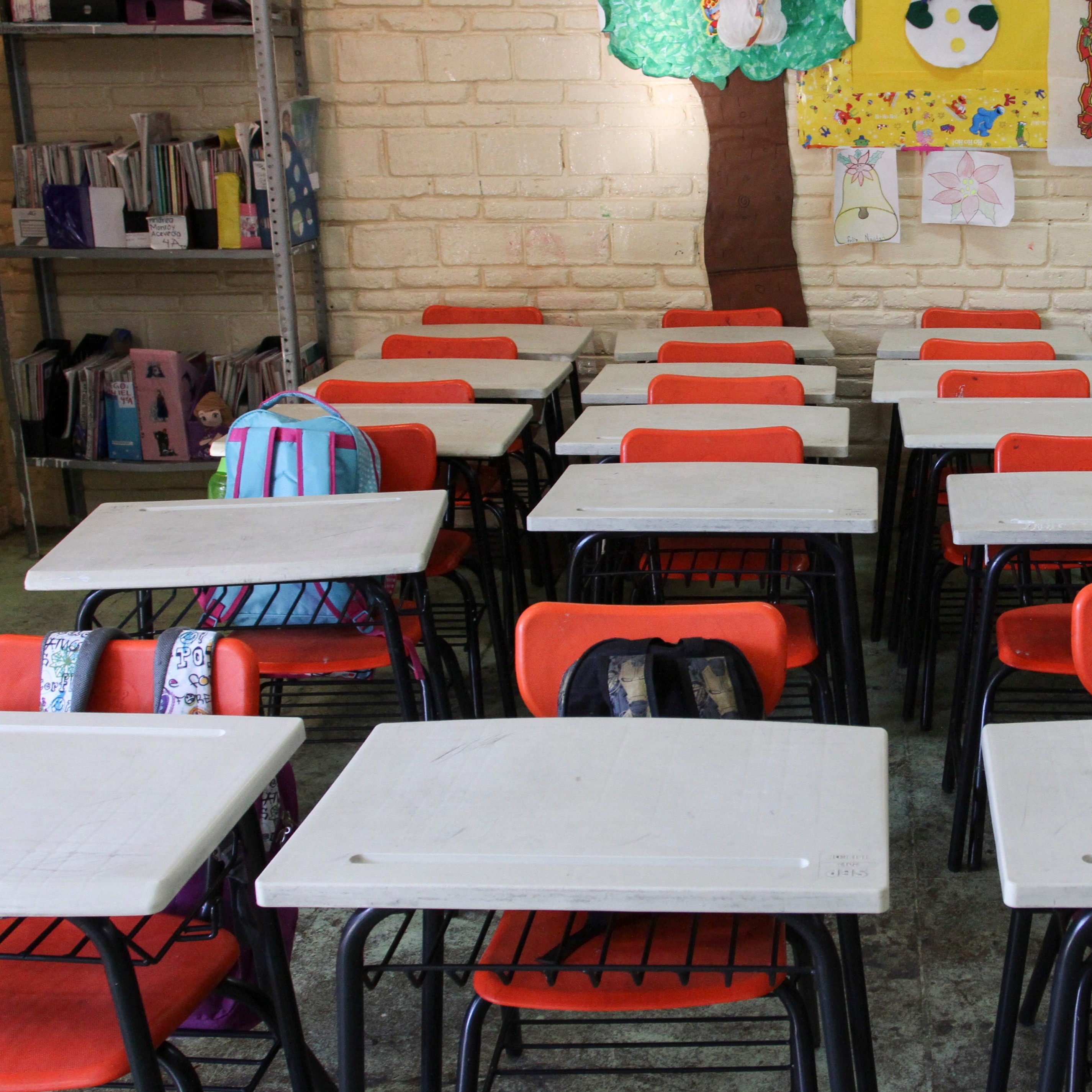 Construyendo el camino de paz